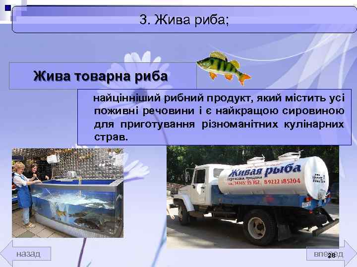 3. Жива риба; Жива товарна риба найцінніший рибний продукт, який містить усі поживні речовини