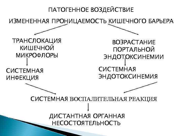ПАТОГЕННОЕ ВОЗДЕЙСТВИЕ ИЗМЕНЕННАЯ ПРОНИЦАЕМОСТЬ КИШЕЧНОГО БАРЬЕРА ТРАНСЛОКАЦИЯ КИШЕЧНОЙ МИКРОФЛОРЫ СИСТЕМНАЯ ИНФЕКЦИЯ ВОЗРАСТАНИЕ ПОРТАЛЬНОЙ ЭНДОТОКСИНЕМИИ