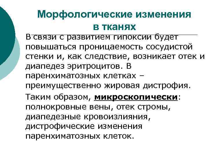 Морфологические изменения в тканях В связи с развитием гипоксии будет повышаться проницаемость сосудистой стенки