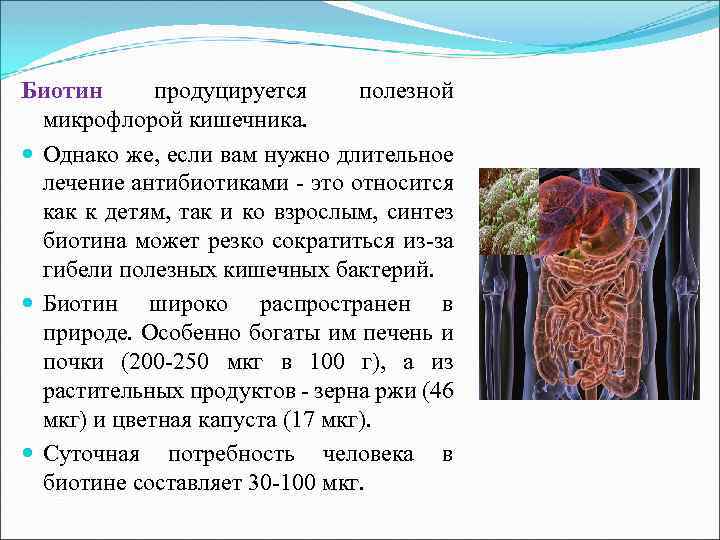 Биотин продуцируется полезной микрофлорой кишечника. Однако же, если вам нужно длительное лечение антибиотиками -