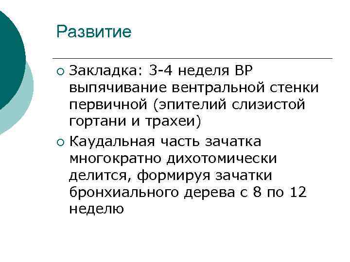 Развитие Закладка: 3 -4 неделя ВР выпячивание вентральной стенки первичной (эпителий слизистой гортани и