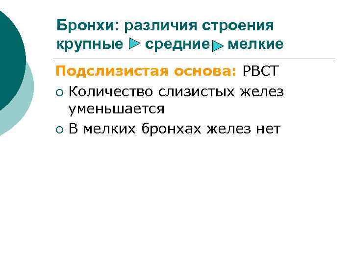 Бронхи: различия строения крупные средние мелкие Подслизистая основа: РВСТ ¡ Количество слизистых желез уменьшается