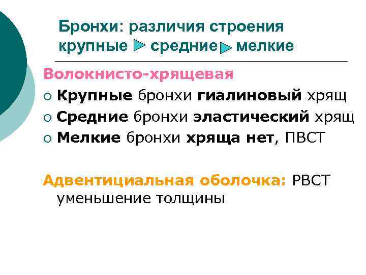 Бронхи: различия строения крупные средние мелкие Волокнисто-хрящевая ¡ Крупные бронхи гиалиновый хрящ ¡ Средние