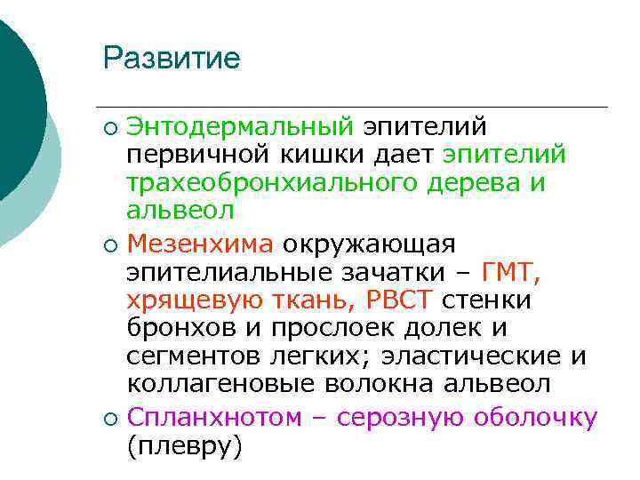 Развитие Энтодермальный эпителий первичной кишки дает эпителий трахеобронхиального дерева и альвеол ¡ Мезенхима окружающая