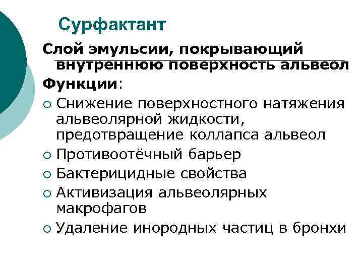 Сурфактант Слой эмульсии, покрывающий внутреннюю поверхность альвеол Функции: ¡ Снижение поверхностного натяжения альвеолярной жидкости,