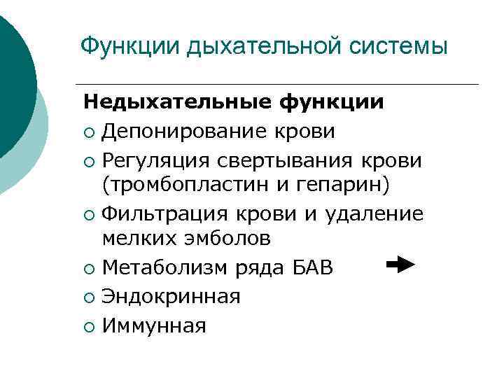 Функции дыхательной системы Недыхательные функции ¡ Депонирование крови ¡ Регуляция свертывания крови (тромбопластин и