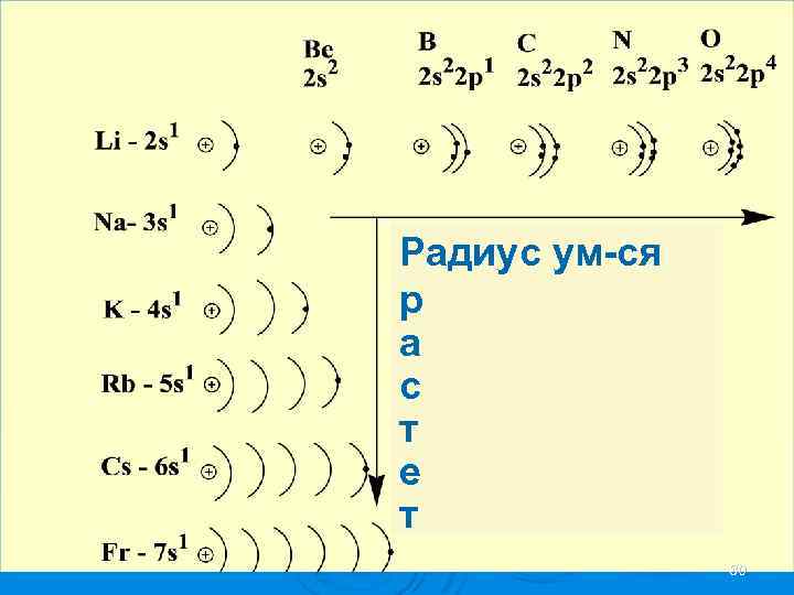 Радиус ум-ся р а с т е т 30 