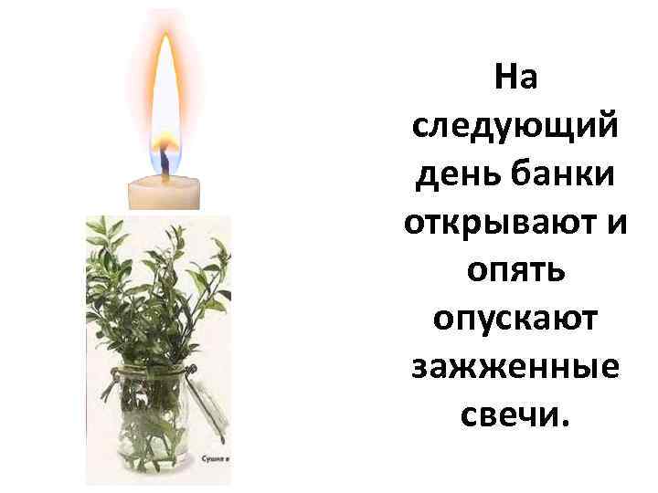 На следующий день банки открывают и опять опускают зажженные свечи. 