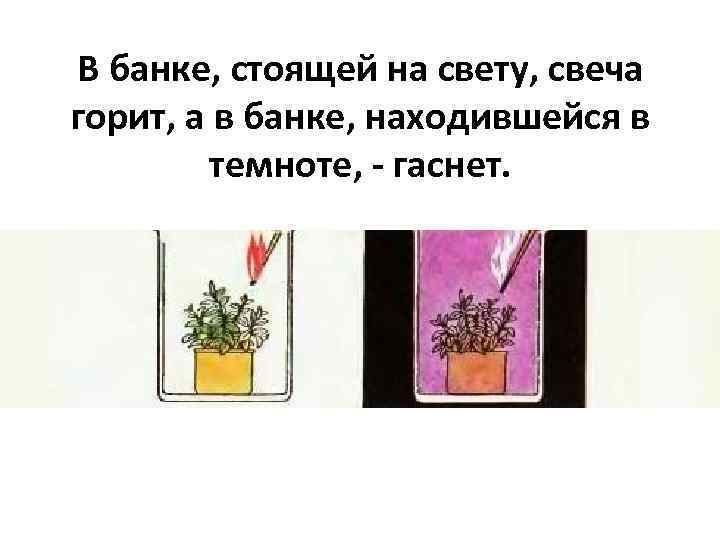 В банке, стоящей на свету, свеча горит, а в банке, находившейся в темноте, -