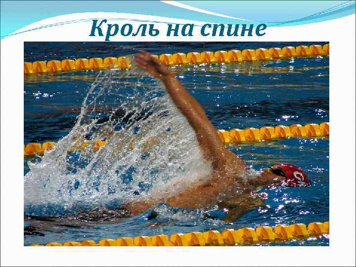 Кроль на спине 