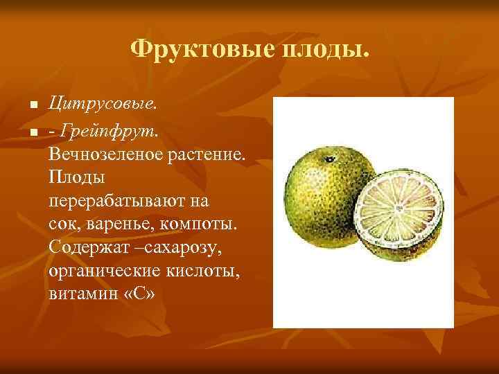 Фруктовые плоды. n n Цитрусовые. - Грейпфрут. Вечнозеленое растение. Плоды перерабатывают на сок, варенье,