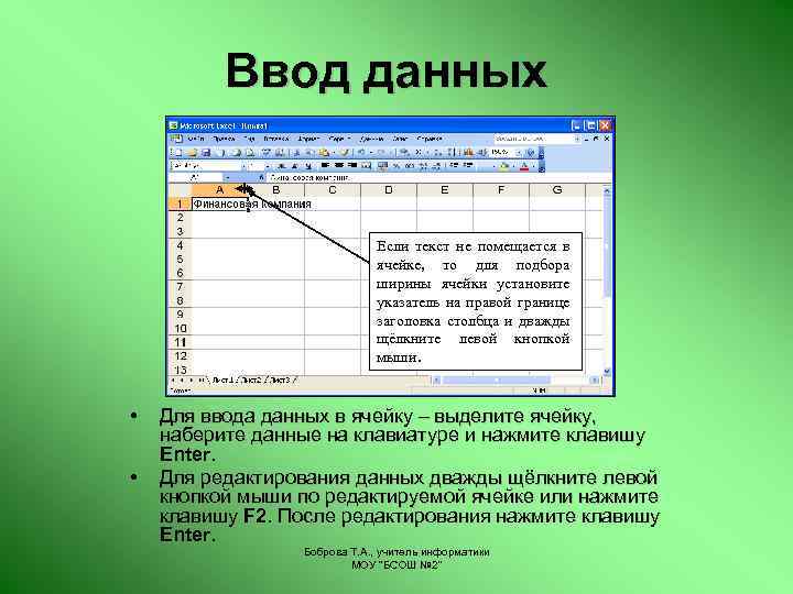 Ввод данных Если текст не помещается в ячейке, то для подбора ширины ячейки установите