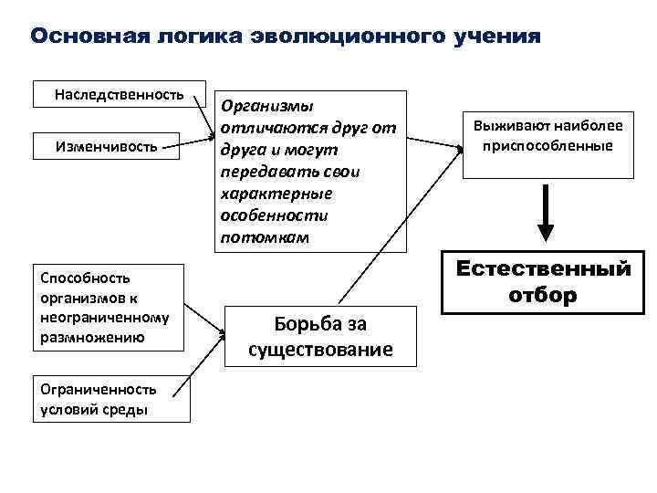 Тест по теме виды изменчивости 9 класс