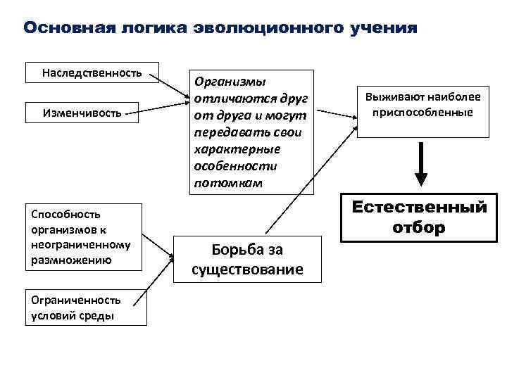 Основная логика эволюционного учения Наследственность Изменчивость Способность организмов к неограниченному размножению Ограниченность условий среды