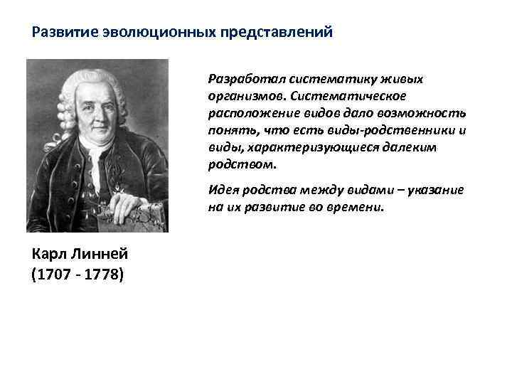 Развитие эволюционных представлений Разработал систематику живых организмов. Систематическое расположение видов дало возможность понять, что