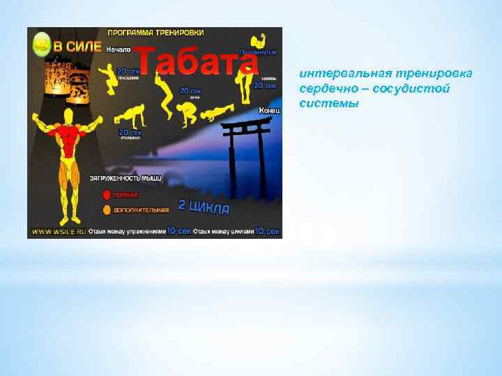 интервальная тренировка сердечно – сосудистой системы 