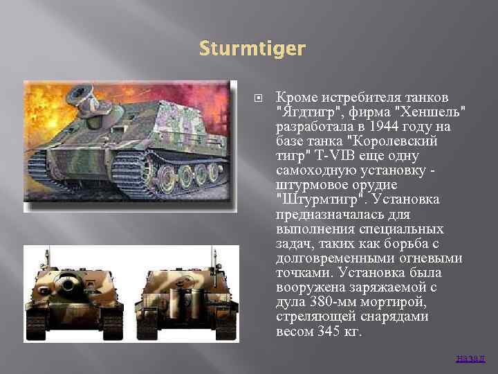Sturmtiger Кроме истребителя танков 