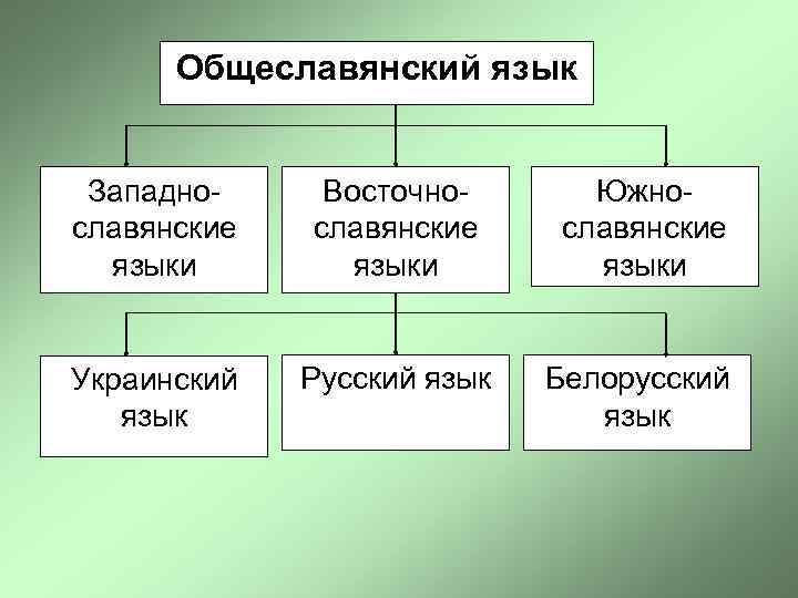 Общеславянский язык Западнославянские языки Восточнославянские языки Южнославянские языки Украинский язык Русский язык Белорусский язык