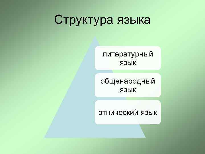 Структура языка литературный язык общенародный язык этнический язык 