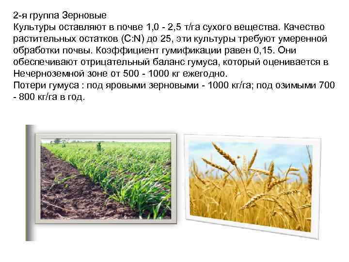 2 -я группа Зерновые Культуры оставляют в почве 1, 0 - 2, 5 т/га