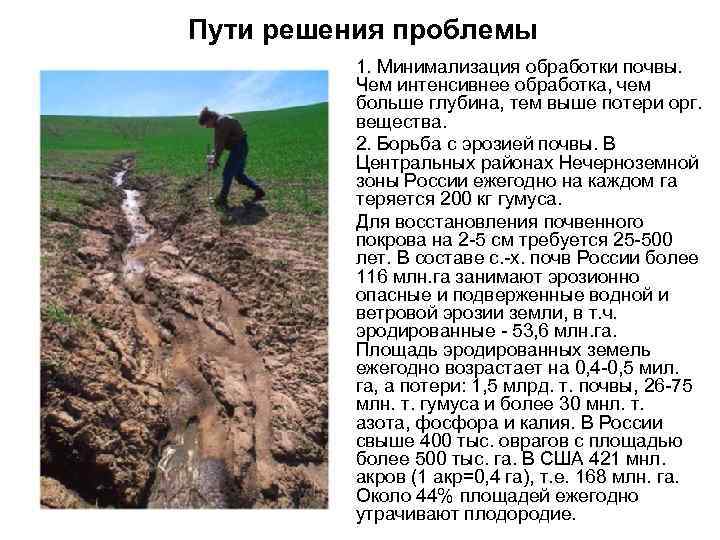 Пути решения проблемы 1. Минимализация обработки почвы. Чем интенсивнее обработка, чем больше глубина, тем