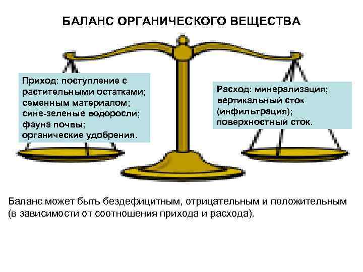 БАЛАНС ОРГАНИЧЕСКОГО ВЕЩЕСТВА Приход: поступление с растительными остатками; семенным материалом; сине-зеленые водоросли; фауна почвы;