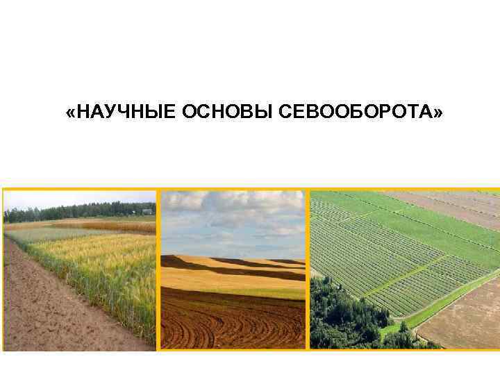 «НАУЧНЫЕ ОСНОВЫ СЕВООБОРОТА» 