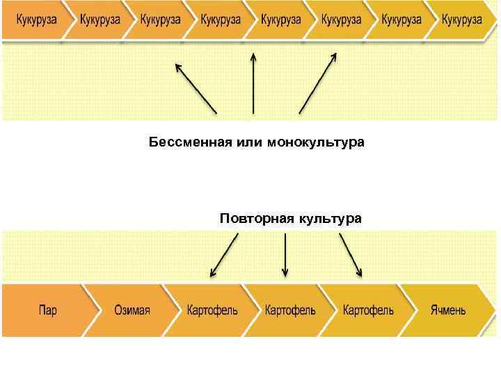 Бессменная или монокультура Повторная культура 