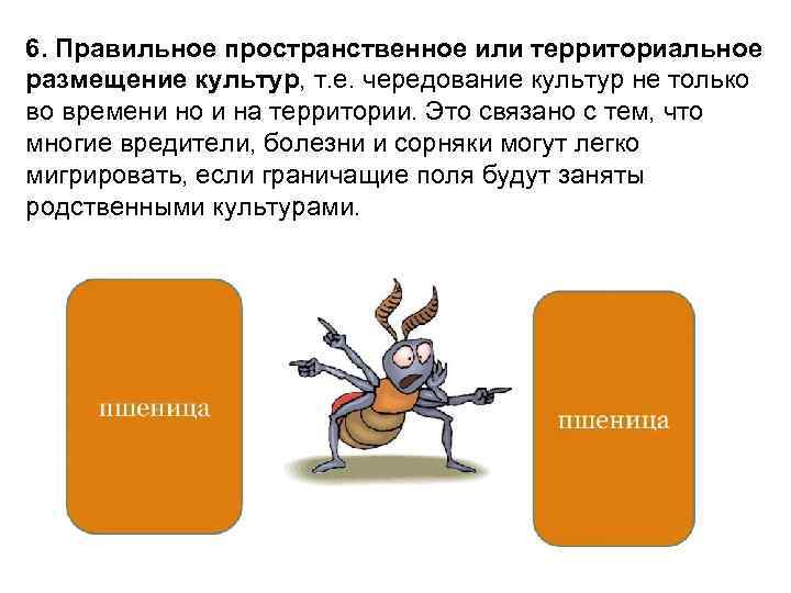 6. Правильное пространственное или территориальное размещение культур, т. е. чередование культур не только во