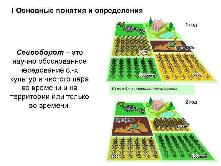 I Основные понятия и определения Севооборот – это научно обоснованное чередование с. -х. культур
