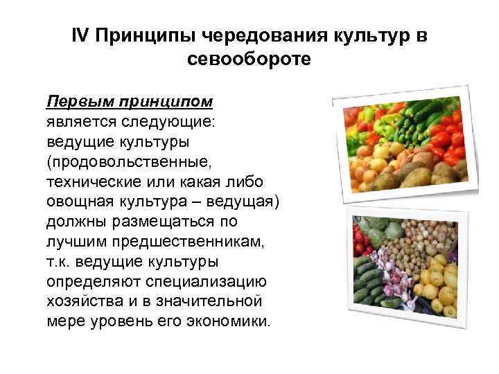 IV Принципы чередования культур в севообороте Первым принципом является следующие: ведущие культуры (продовольственные, технические