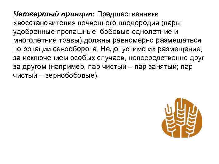 Четвертый принцип: Предшественники «восстановители» почвенного плодородия (пары, удобренные пропашные, бобовые однолетние и многолетние травы)
