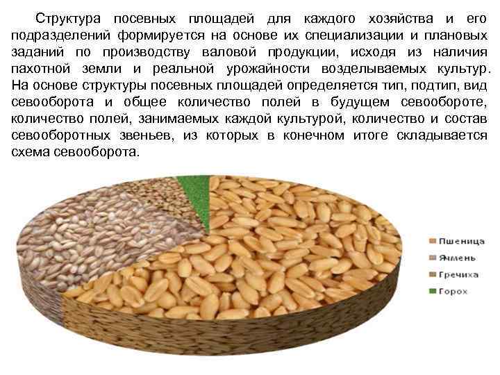 Структура посевных площадей для каждого хозяйства и его подразделений формируется на основе их специализации
