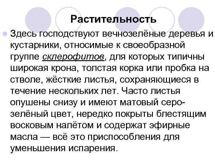  Растительность l Здесь господствуют вечнозелёные деревья и кустарники, относимые к своеобразной группе склерофитов,