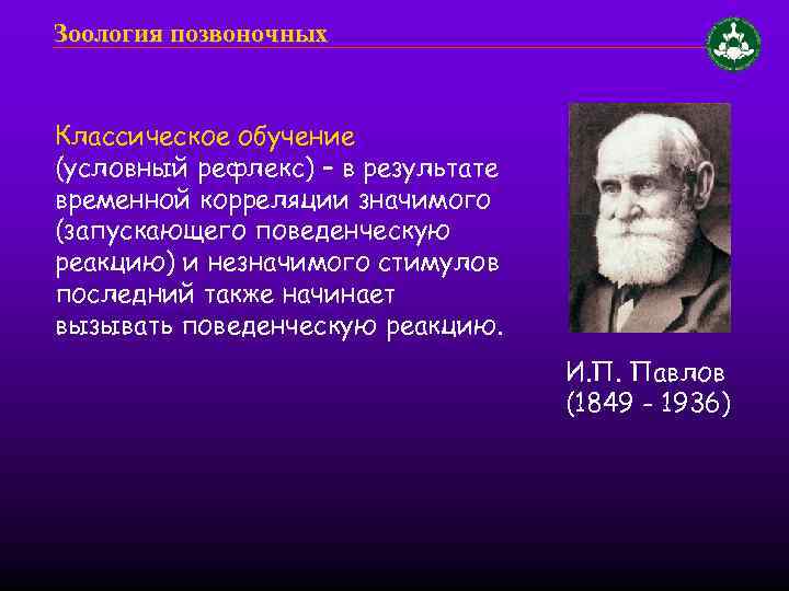 Зоология позвоночных Классическое обучение (условный рефлекс) – в результате временной корреляции значимого (запускающего поведенческую