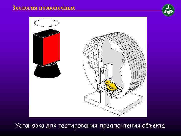 Зоология позвоночных Установка для тестирования предпочтения объекта 