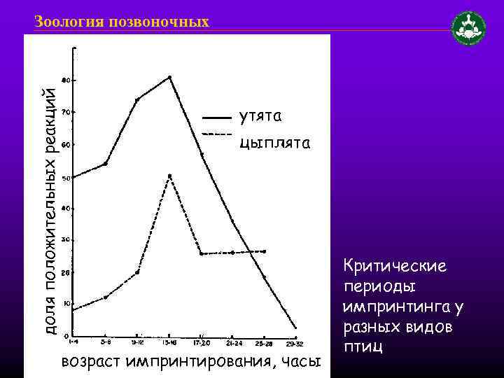 доля положительных реакций Зоология позвоночных утята цыплята возраст импринтирования, часы Критические периоды импринтинга у