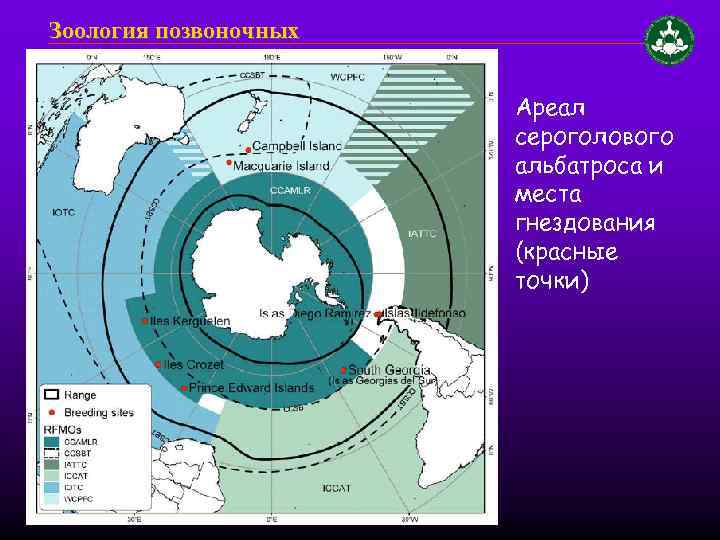 Зоология позвоночных Ареал сероголового альбатроса и места гнездования (красные точки) 