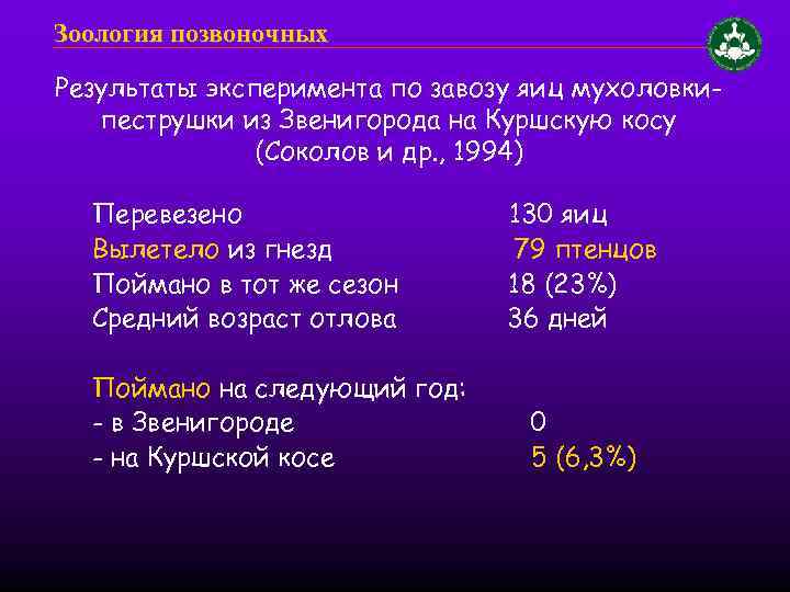 Зоология позвоночных Результаты эксперимента по завозу яиц мухоловкипеструшки из Звенигорода на Куршскую косу (Соколов