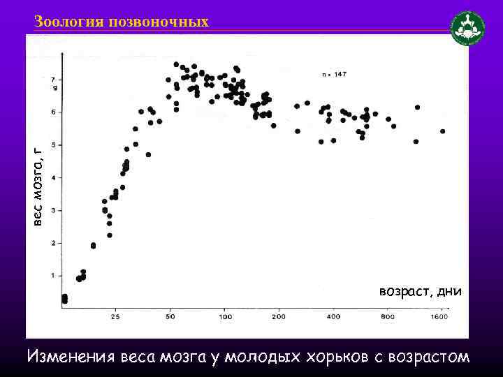 вес мозга, г Зоология позвоночных возраст, дни Изменения веса мозга у молодых хорьков с