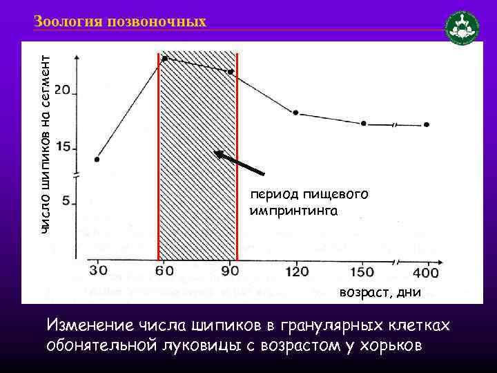 число шипиков на сегмент Зоология позвоночных период пищевого импринтинга возраст, дни Изменение числа шипиков