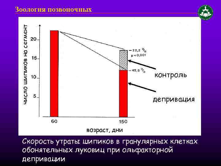 число шипиков на сегмент Зоология позвоночных контроль депривация возраст, дни Скорость утраты шипиков в