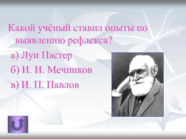 Какой учёный ставил опыты по выявлению рефлекса? а) Луи Пастер б) И. И. Мечников