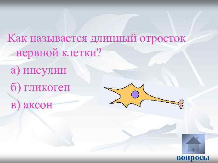 Как называется длинный отросток нервной клетки? а) инсулин б) гликоген в) аксон вопросы 