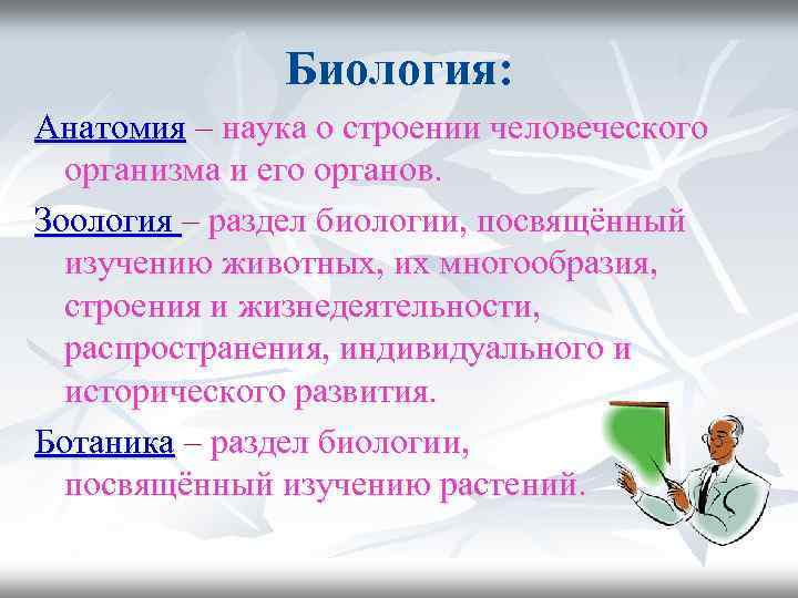 Биология: Анатомия – наука о строении человеческого организма и его органов. Зоология – раздел