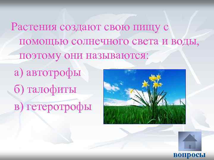 Растения создают свою пищу с помощью солнечного света и воды, поэтому они называются: а)