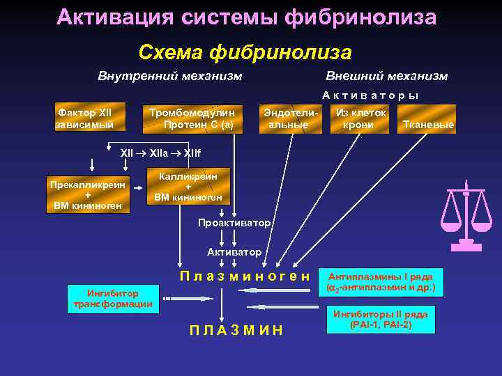 Фактор xii