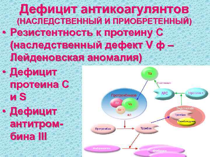 Дефицит антикоагулянтов (НАСЛЕДСТВЕННЫЙ И ПРИОБРЕТЕННЫЙ) • Резистентность к протеину С (наследственный дефект V ф