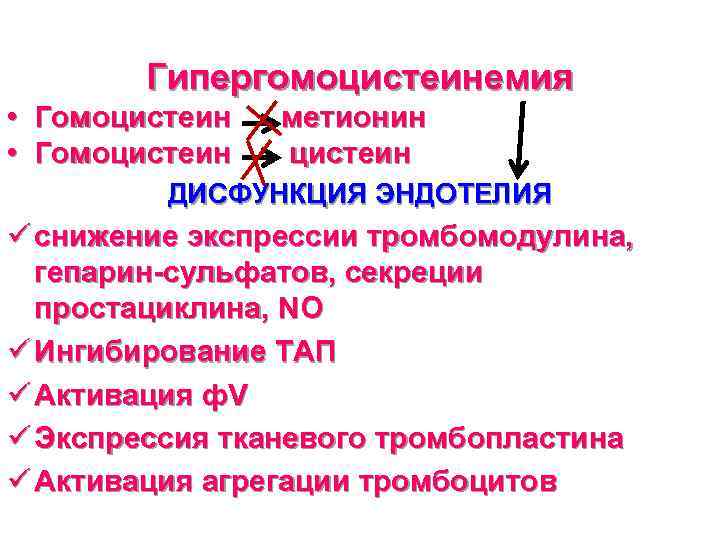 Гипергомоцистеинемия • Гомоцистеин метионин цистеин ДИСФУНКЦИЯ ЭНДОТЕЛИЯ ü снижение экспрессии тромбомодулина, гепарин-сульфатов, секреции простациклина,