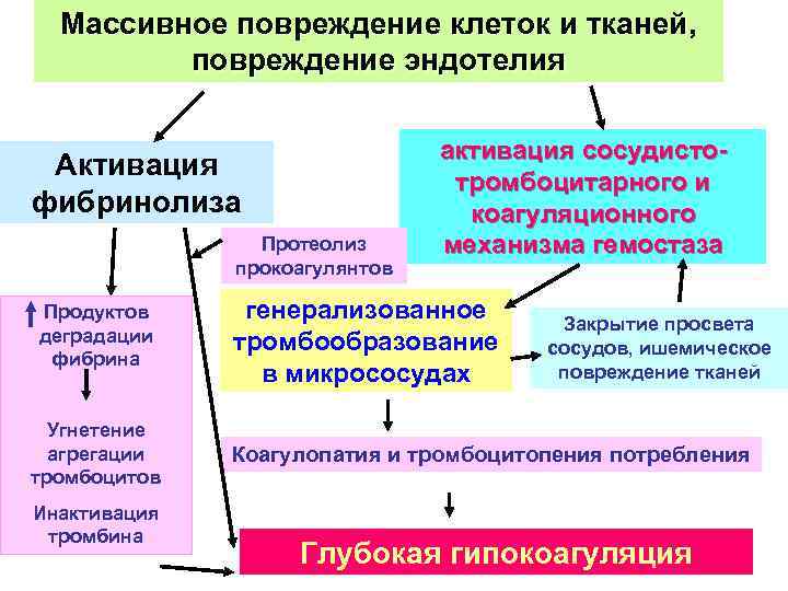 Массивное повреждение клеток и тканей, повреждение эндотелия Активация фибринолиза Протеолиз прокоагулянтов Продуктов деградации фибрина